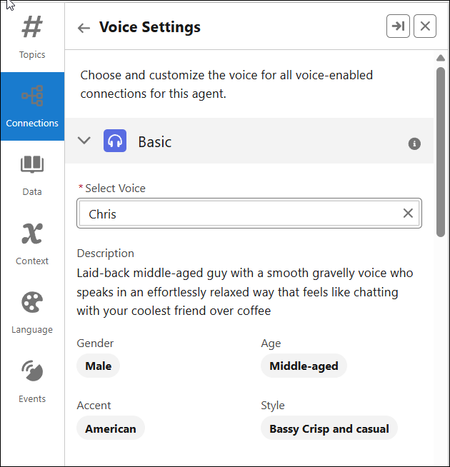 Voice Settings page showing basic settings