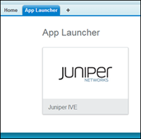 select the Juniper logo from the App Launcher