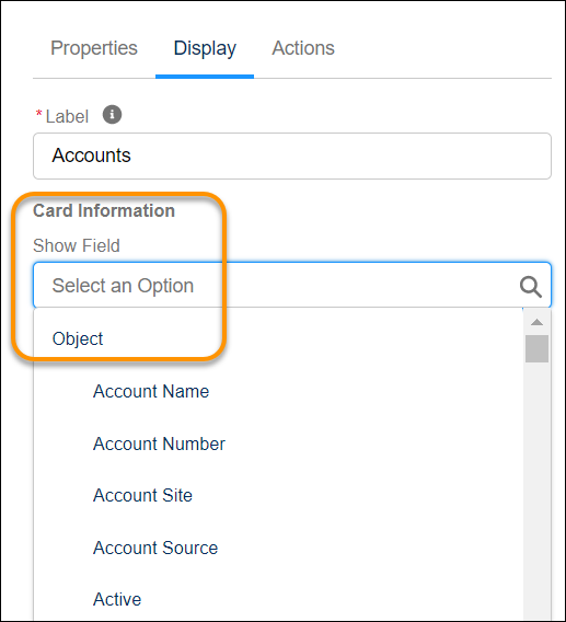 Display object record fields