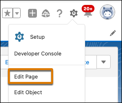 Edit contact record page from Setup.