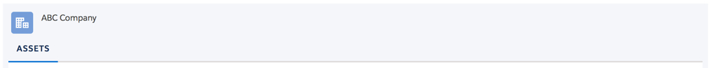 The Assets tab on an Account page.