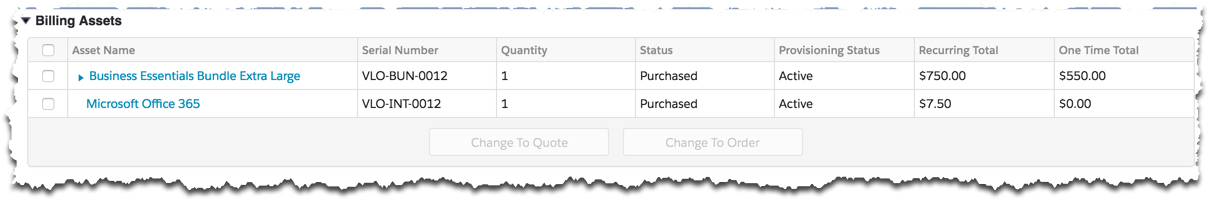 This page has a Billing Assets header and the following table columns: Asset Name, Serial Number, Quantity, Status, Provisioning Status, Recurring Total, and One Time Total.
