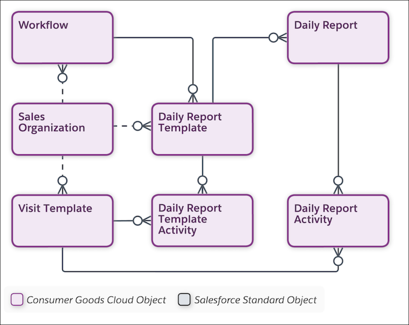 Objects for daily reporting