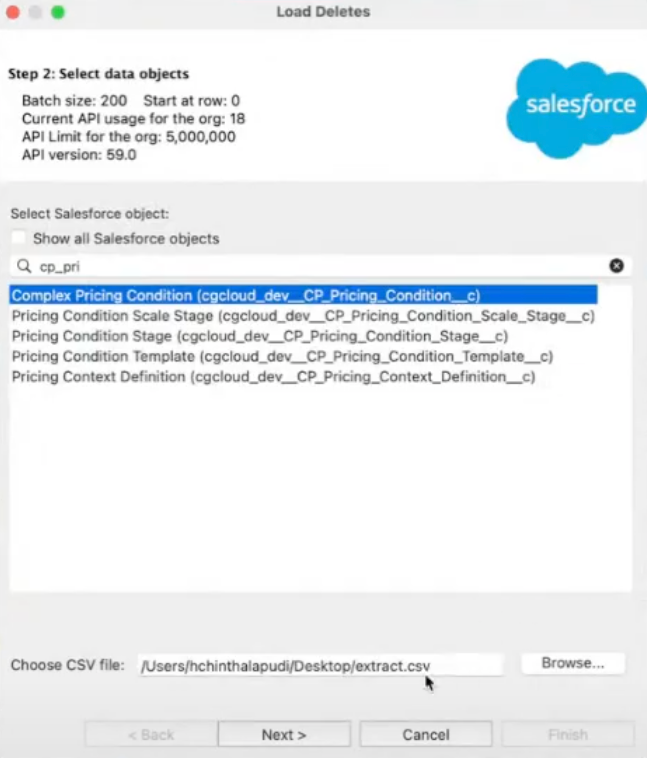The Load Deletes window showing the selected Salesforce object and the target file.