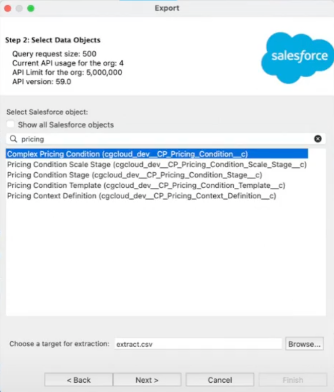 The Export window showing the selected Salesforce object and the target file for extraction.