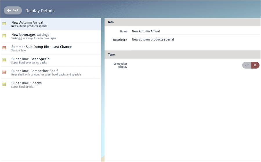 Master detail page that opens when you click Show All Displays.
