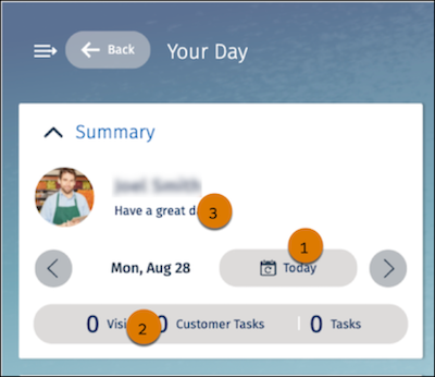 Summary Card that shows the customer name, the date, and visit and task counts