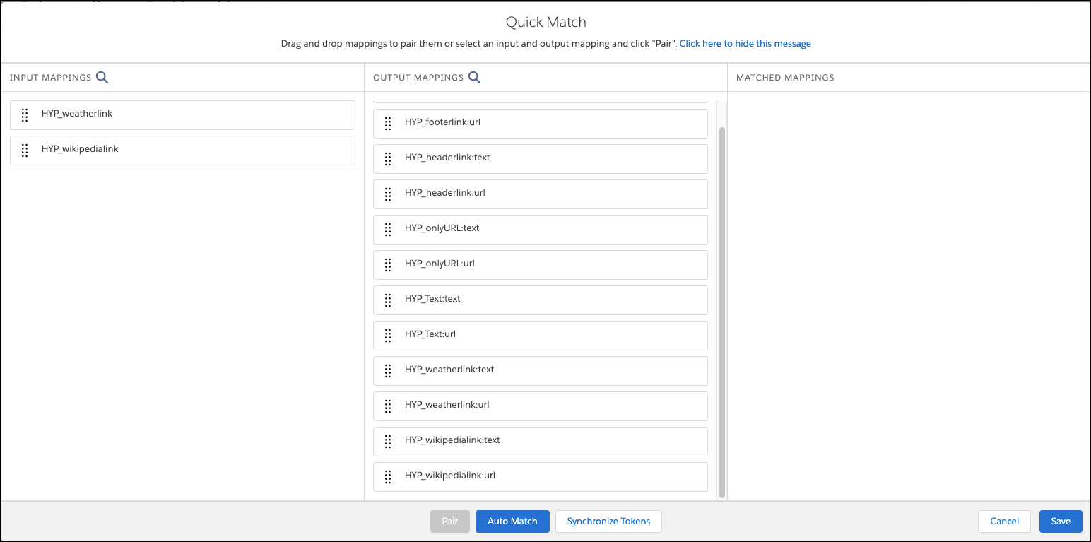 To populate the MATCHED MAPPINGS column from input mappings and output mappings columns, select Auto Match.