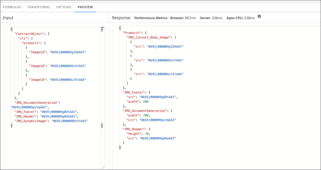 The PREVIEW tab where the mapping you provided is executed.