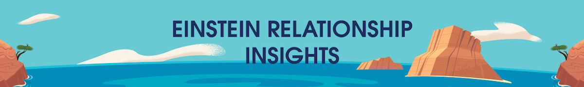 Einstein Relationship Insights