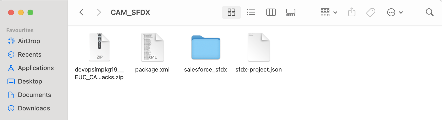 The CAM SFDX folder