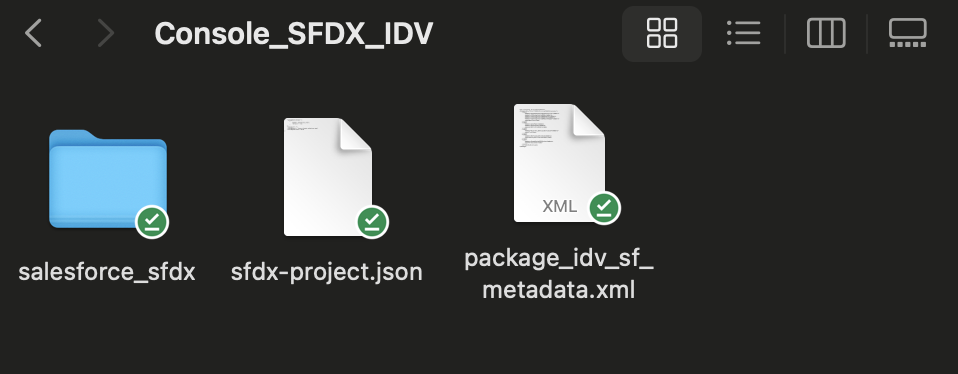 Console SFDX IDV Folder