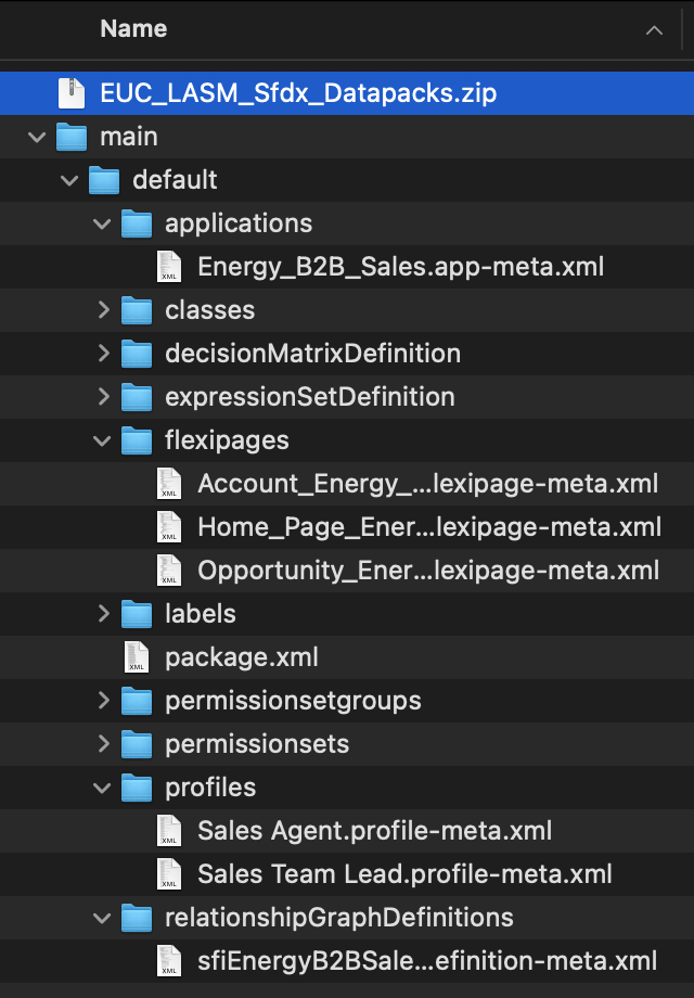 SFDX datapack for Large Account Sales Management