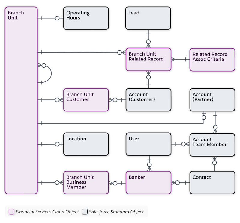 Simplified data model diagram for Branch Management