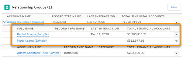Expanded view of the Relationship Group List - Financial Services Cloud custom Lightning App Builder component.