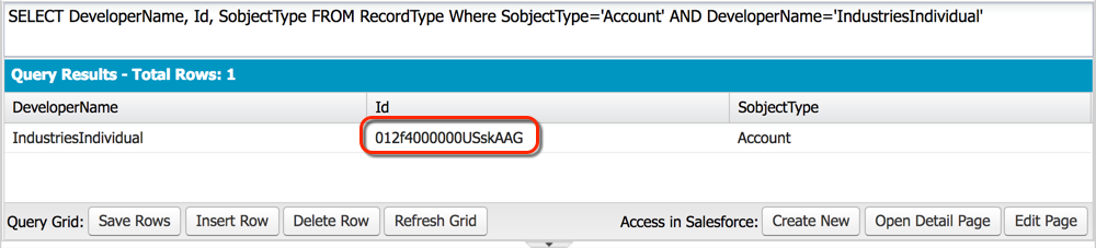SOQL query results