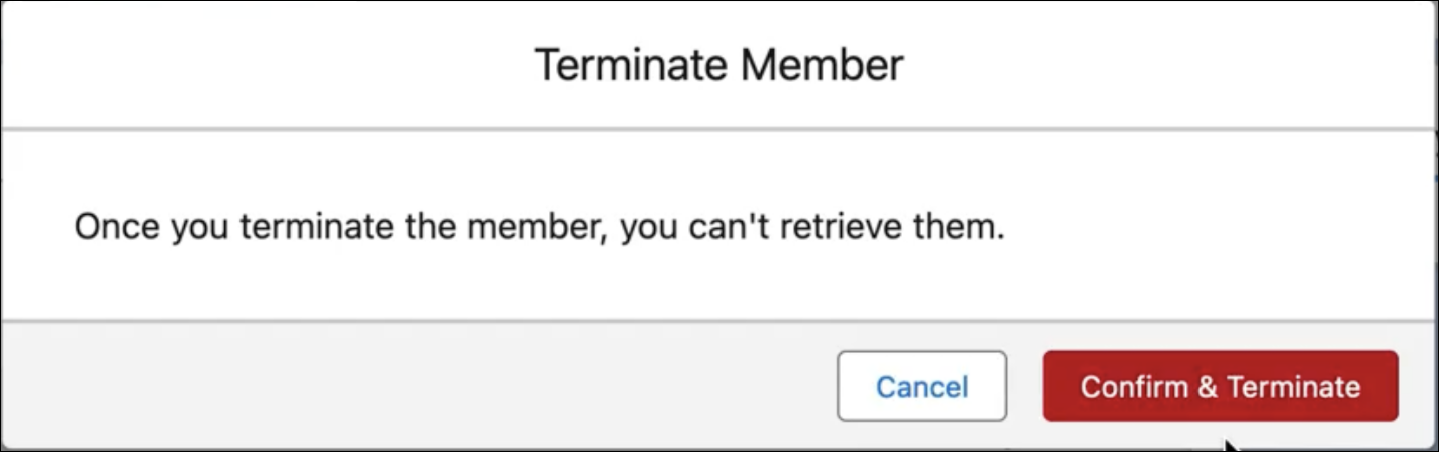 Terminate Member dialog box with the Confirm & Terminate button highlighted