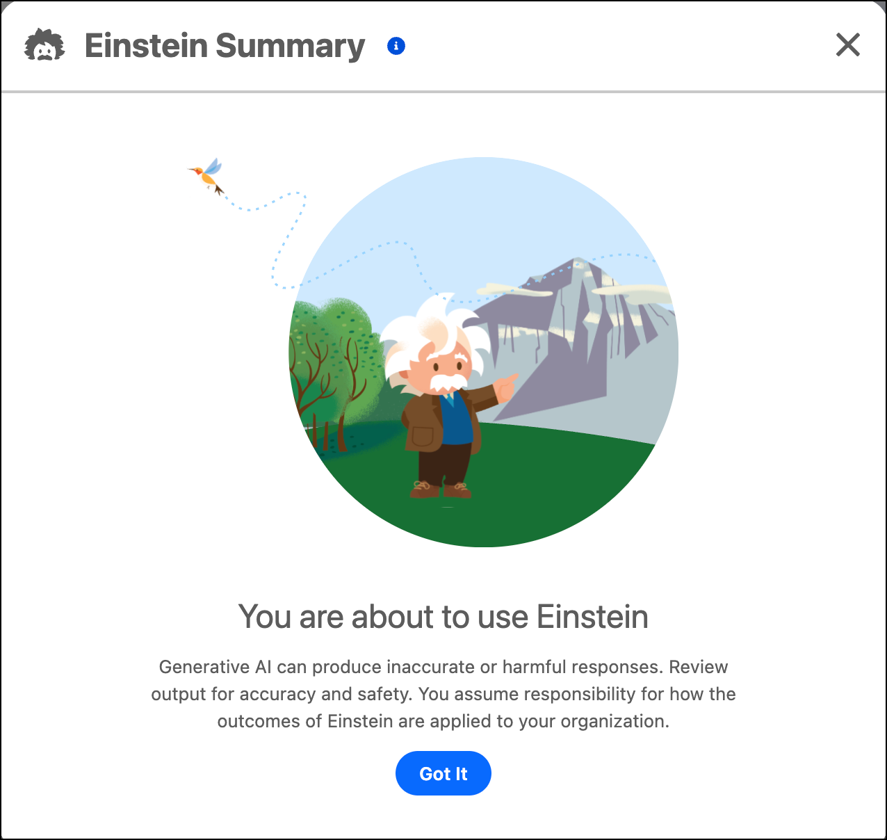 Dichiarazione di non responsabilità Einstein