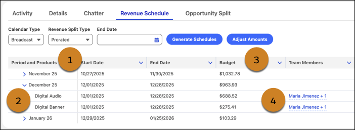 The Revenue Schedule component with schedules.