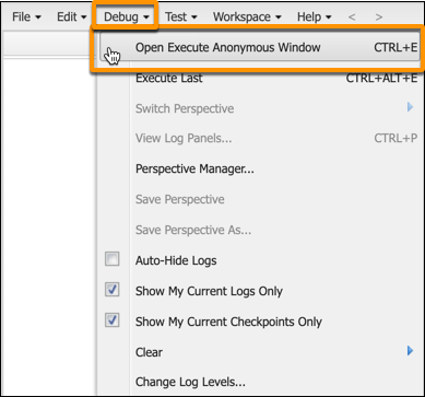 The Debug menu, with the Open Execute Anonymous Window option highlighted.