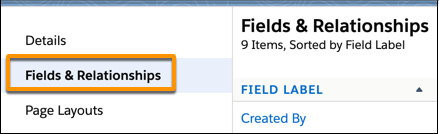The Object Manager, with the Fields & Relationships option highlighted.