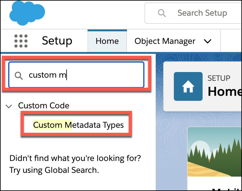 An image of the Quick Search field and the Custom Metadata Types option.