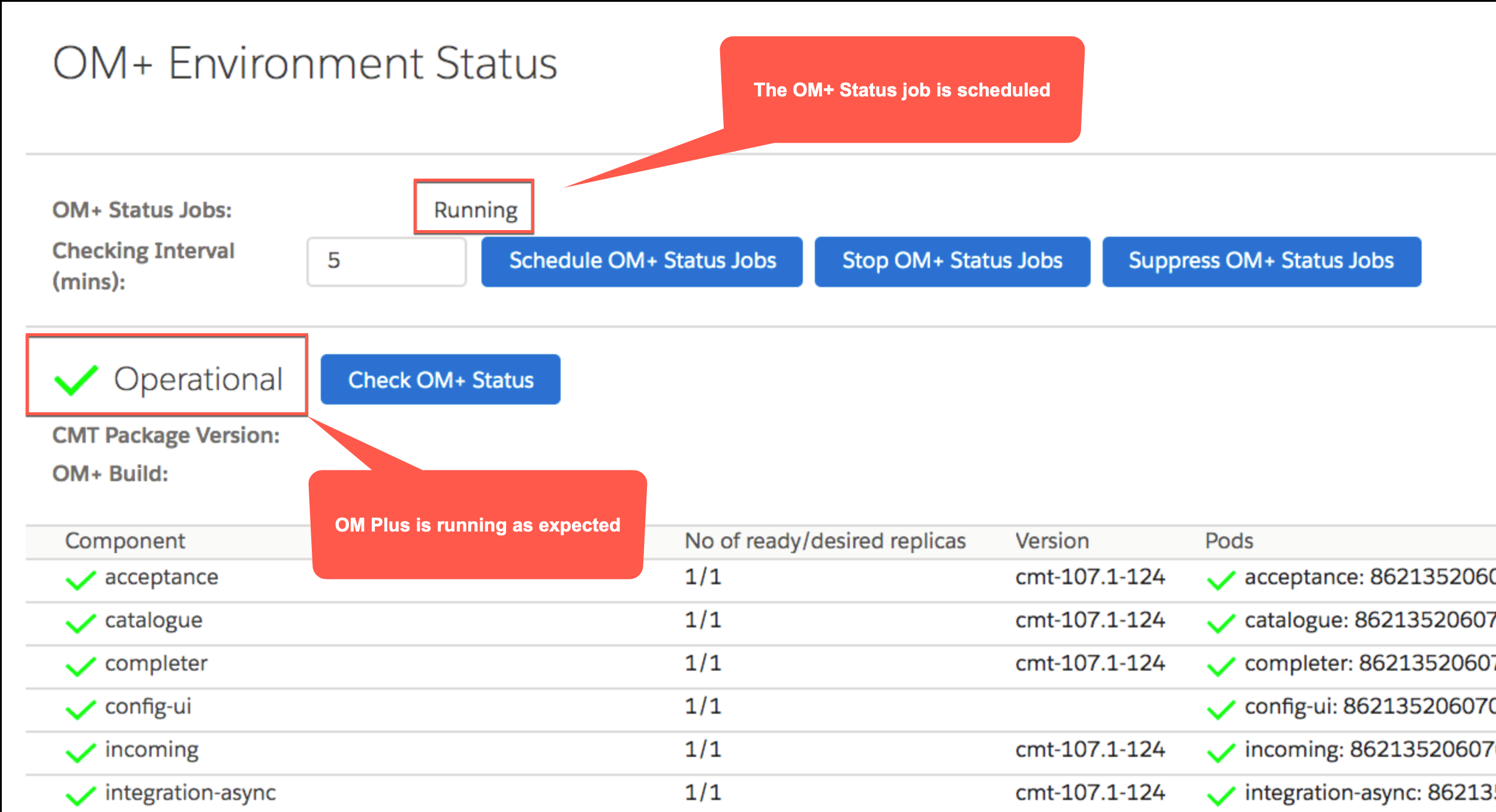 OM+ Environment Status with a running Job and Operational Status