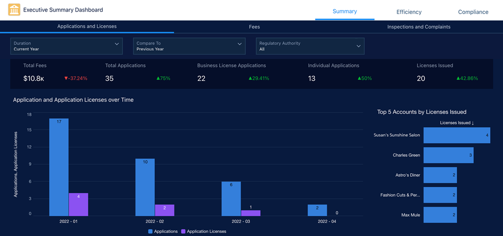 Executive Summary dashboard in Analytics Studio.