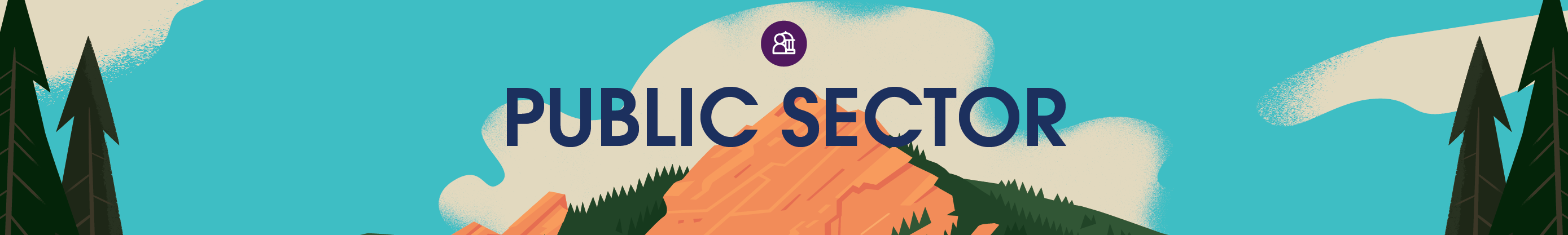 Public Sector banner