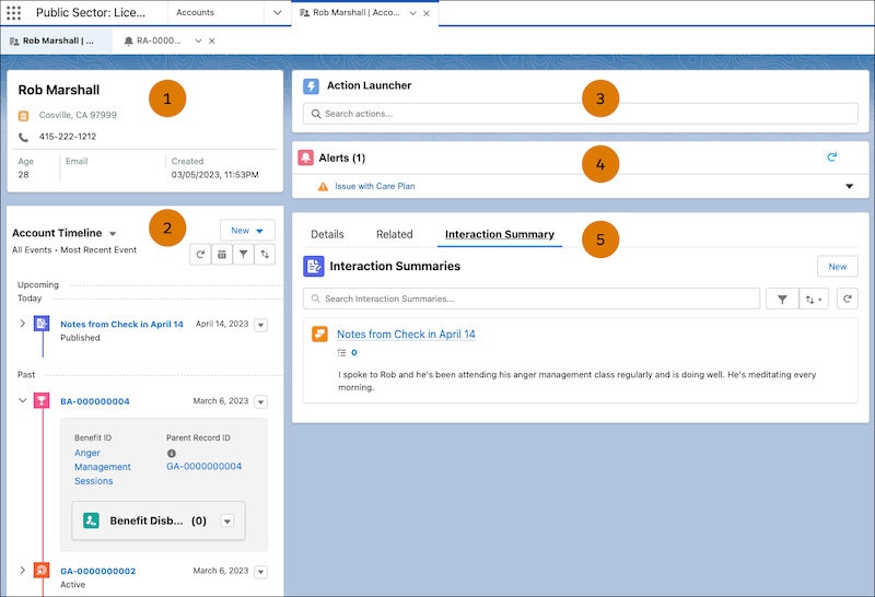 A person account page that shows an Account card, Account Timeline, Action Launcher, Alerts, and Interaction Summary.