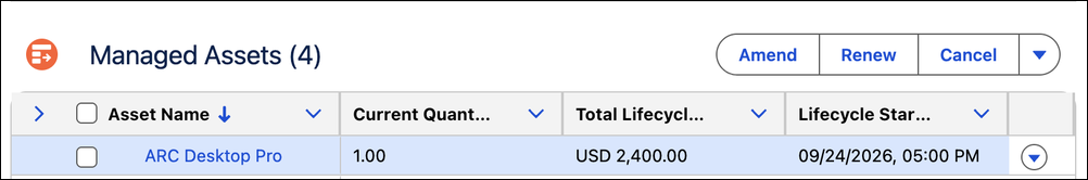 Managed Assets list with ARC Desktop Pro at Current Quantity 1 and Total Lifecycle Amount USD 2,400.00.