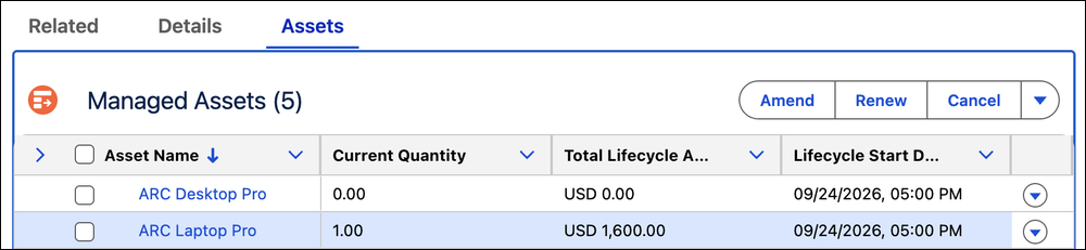 Managed Assets list showing ARC Desktop Pro at Current Quantity 0 and ARC Laptop Pro at Current Quantity 1, USD 1,600.00.