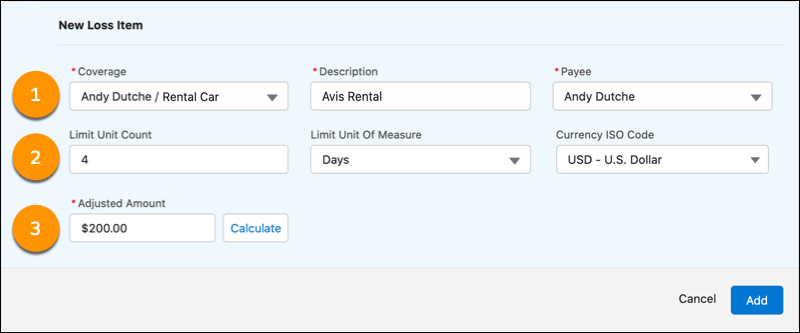 Payment details with standard and custom fields