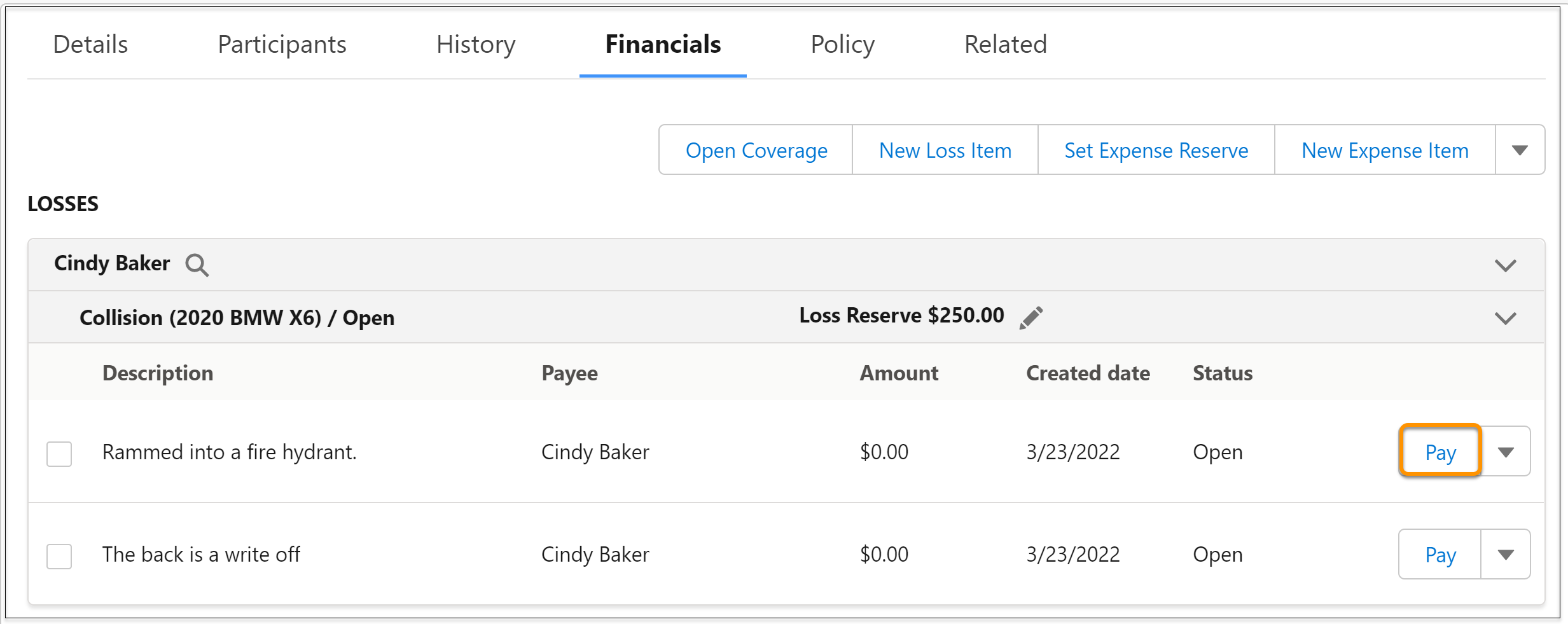 The Pay button.