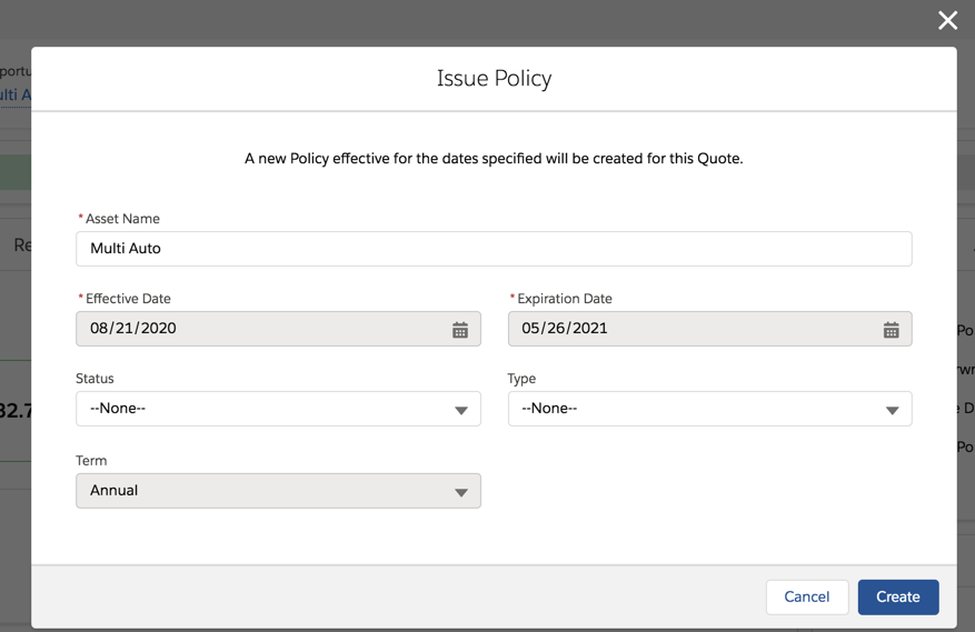 Illustrates the Issue Policy screen.
