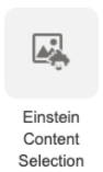 Eisntein Content Selection icon