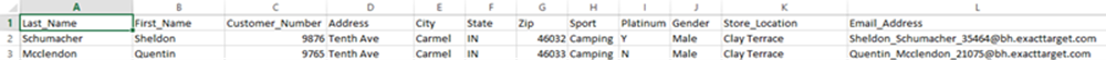 Columns for a subscriber import csv file