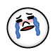 emoji_016