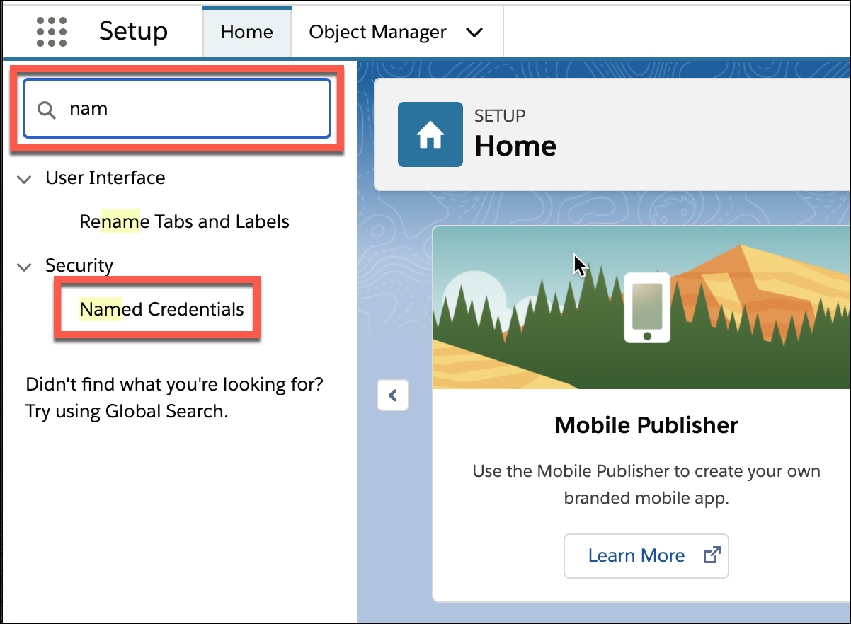 An image of the Quick Search field and the Named Credentials option.
