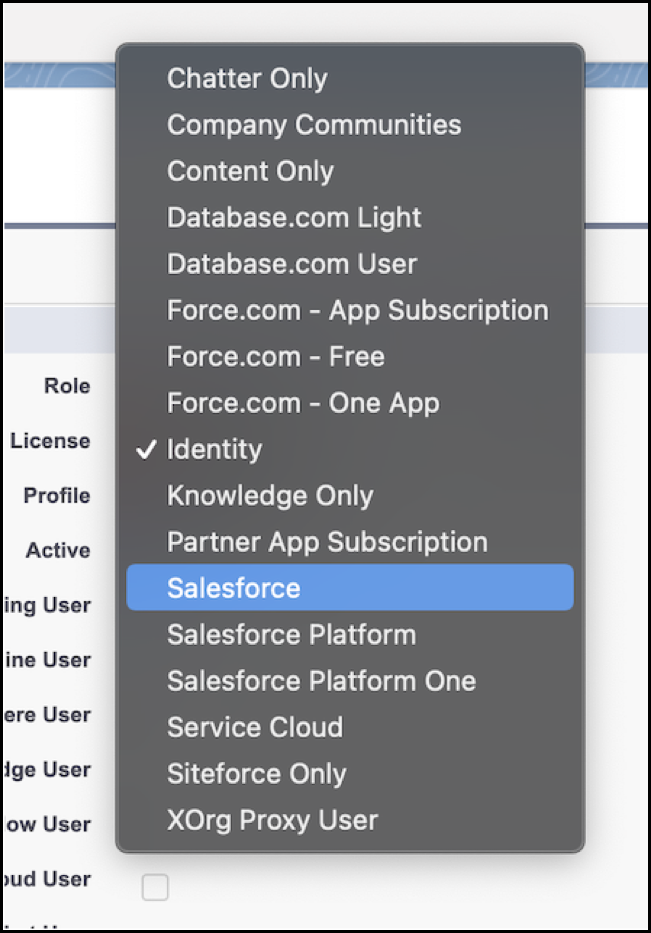 A list of Salesforce license types with the license named Salesforce highlighted.