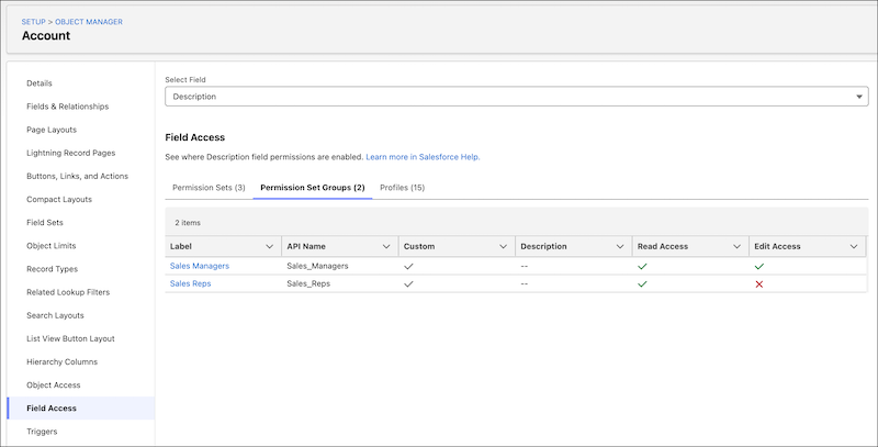 The field access summary for the Description field on Account.