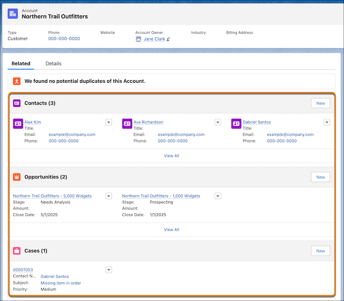 Detail of an account record with the related child contacts, opportunities, and cases highlighted.