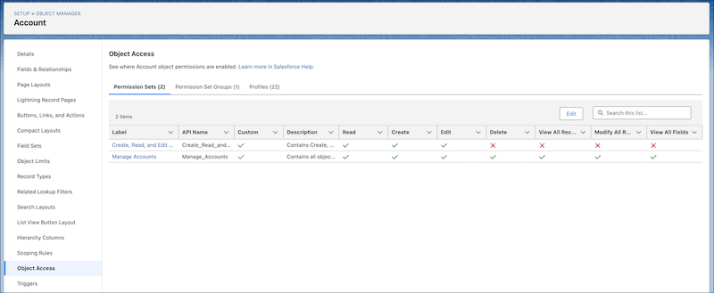 Riepilogo dell'accesso all'oggetto Account nel Gestore oggetti.