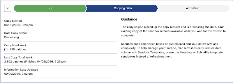 The information available during the Data Copy stage.