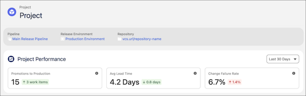 DORA metrics in the project record page.