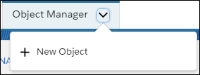 Object Manager tab dropdown options