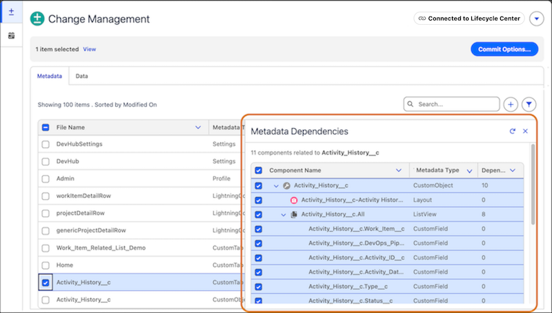 Metadata dependencies window showing related metadata.