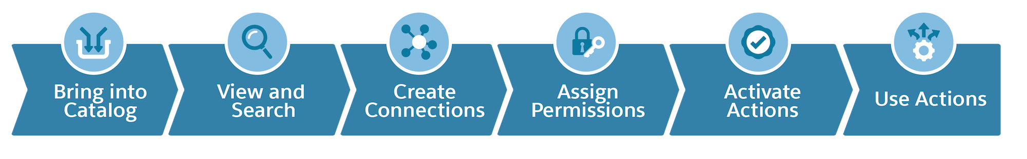 A flowchart shows steps in a process: bring into catalog, view and search, create connections, assign user permissions, activate actions, use actions.