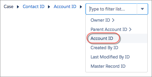Account ID Field on a Case's Contact's Account