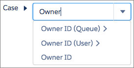 Screenshot of the options for Case fields that match "Owner"